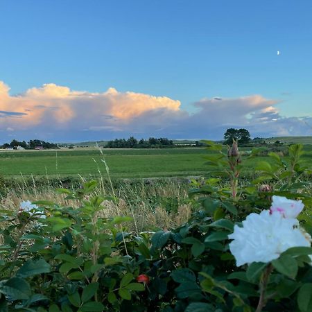 Aengahuset Villa Glemminge Kültér fotó