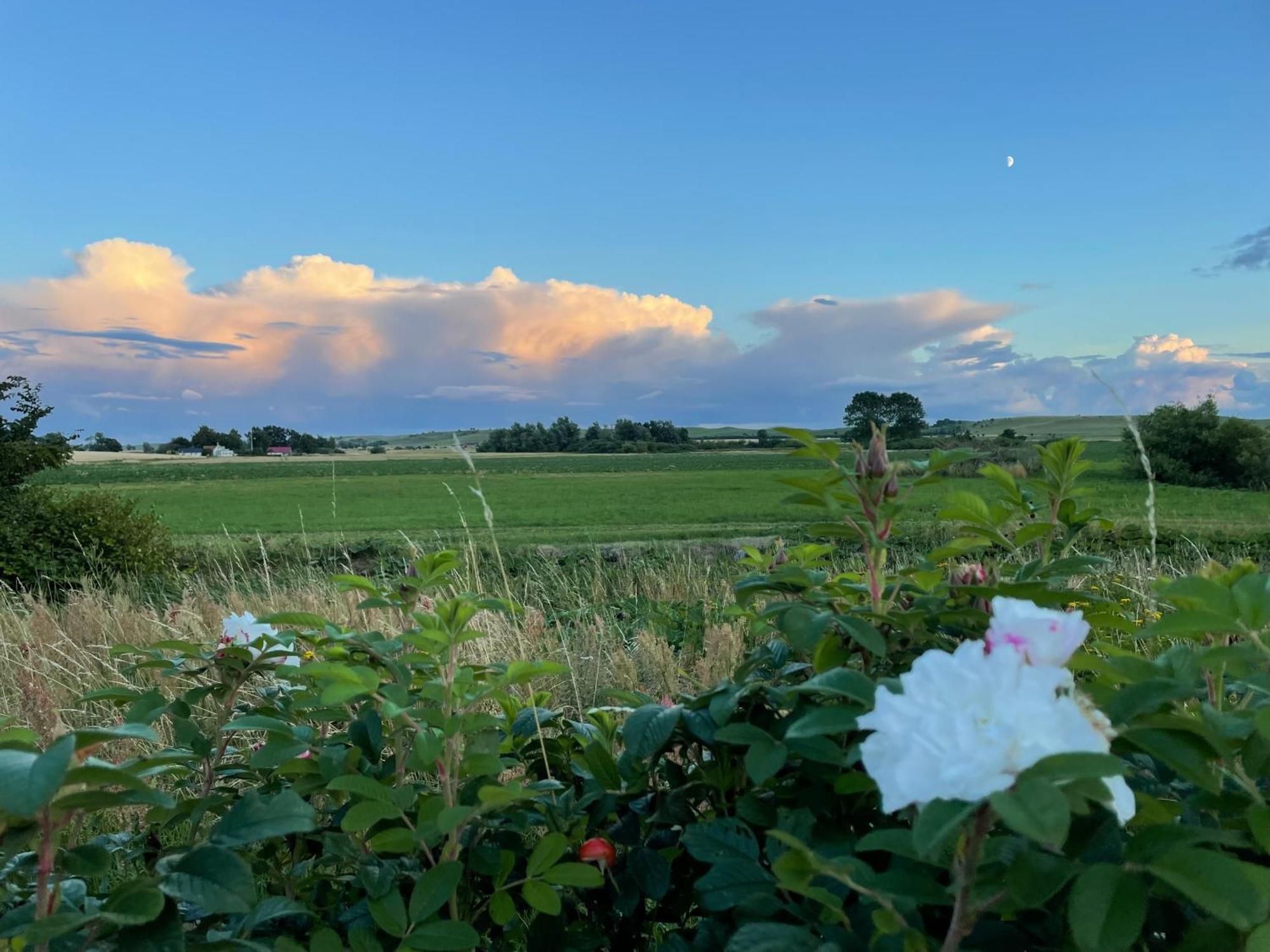 Aengahuset Villa Glemminge Kültér fotó