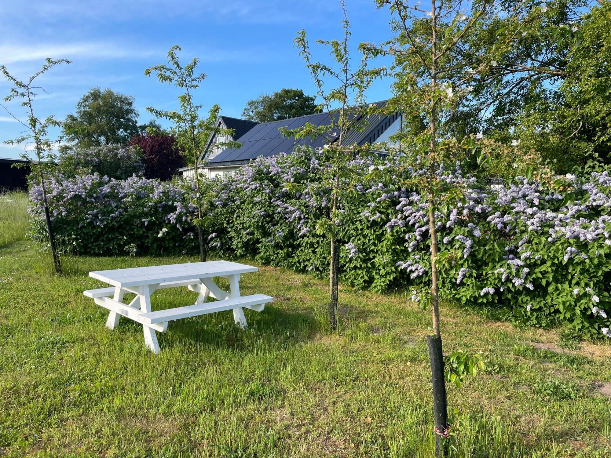 Aengahuset Villa Glemminge Kültér fotó